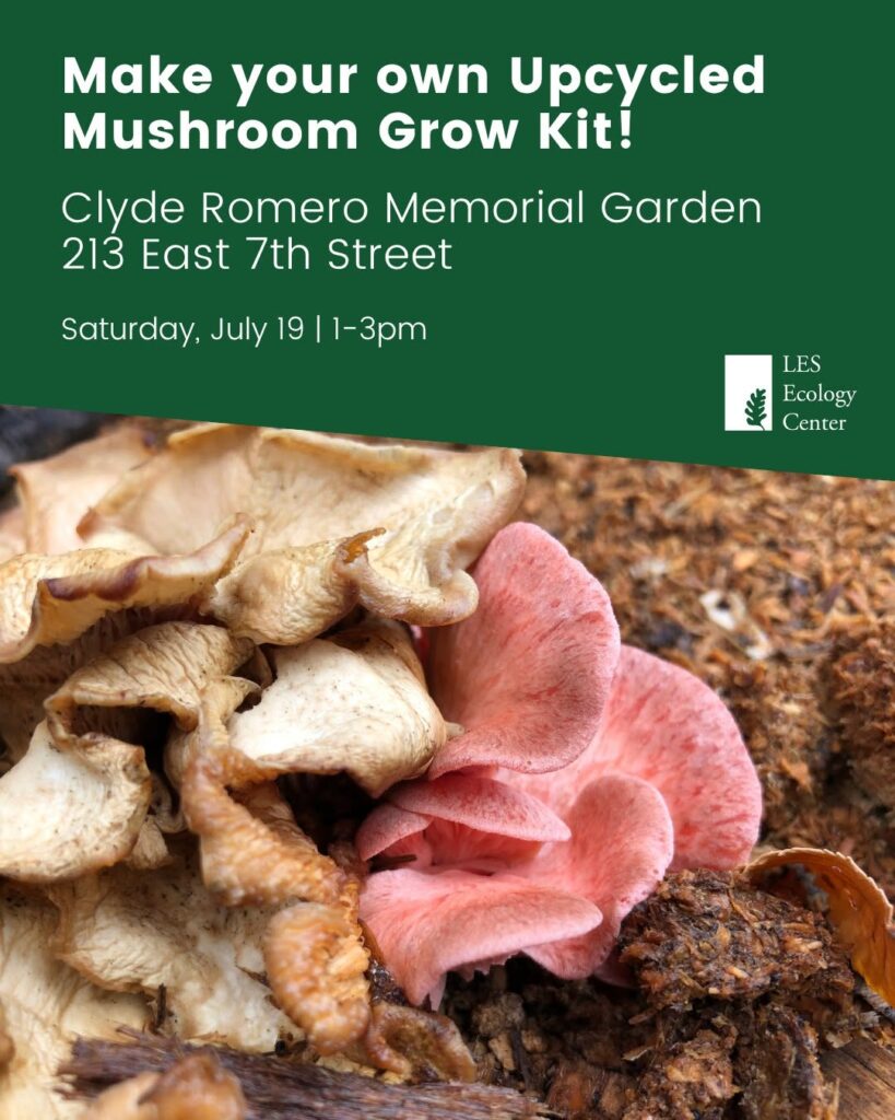Upcycling mushrooms event flyer.