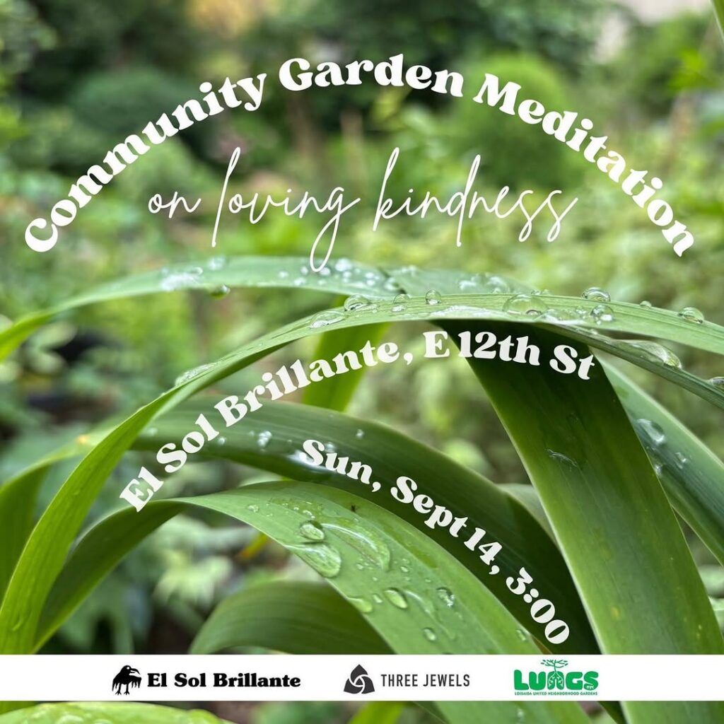 Flyer of Community Gardens Meditation in El Sol Brilliante